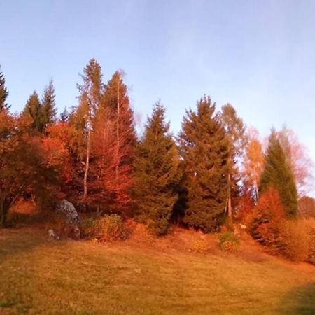 Chalet Maso Fradea Family Resort Кастелло-Тезино Экстерьер фото