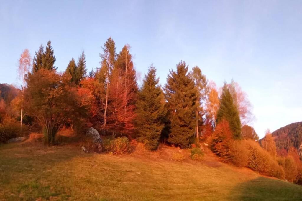 Chalet Maso Fradea Family Resort Кастелло-Тезино Экстерьер фото
